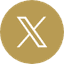 X (Twitter)